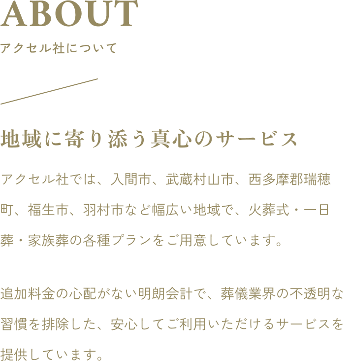 アクセル社について